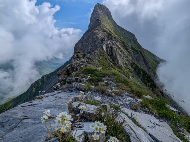 Vordere Grauspitze